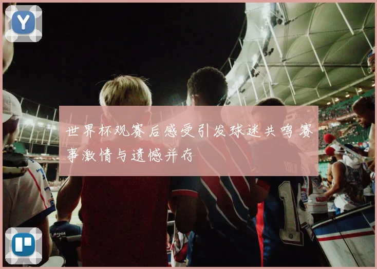 世界杯观赛后感受引发球迷共鸣 赛事激情与遗憾并存