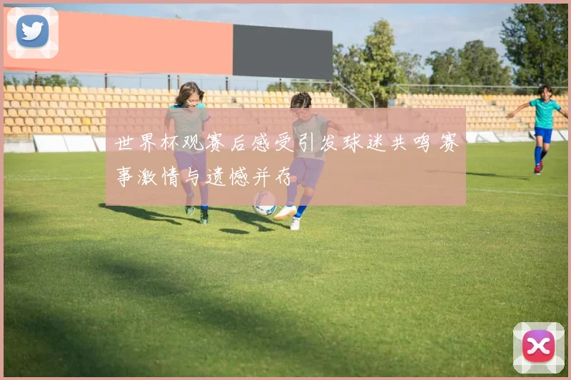 世界杯观赛后感受引发球迷共鸣 赛事激情与遗憾并存