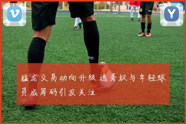 猛龙交易动向升级 选秀权与年轻球员成筹码引发关注