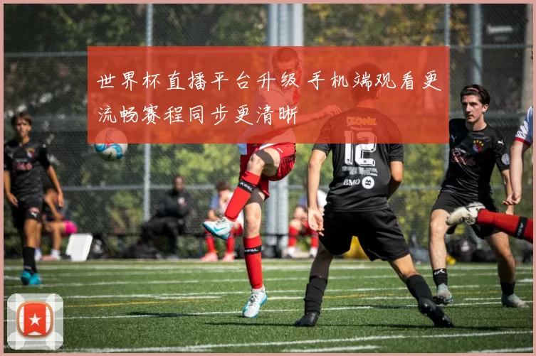 世界杯直播平台升级 手机端观看更流畅赛程同步更清晰